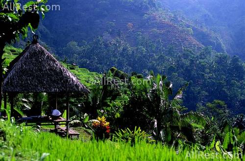 ALiLa Manggis boutique 2